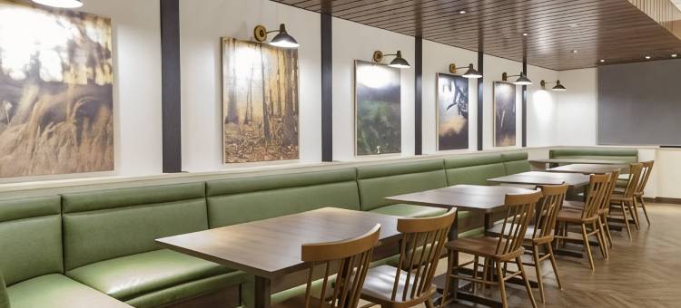 柯林斯堡南万枫套房酒店(Fairfield Inn & Suites Fort Collins South)图片