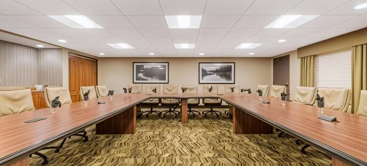 Best Western Plus New Ulm图片