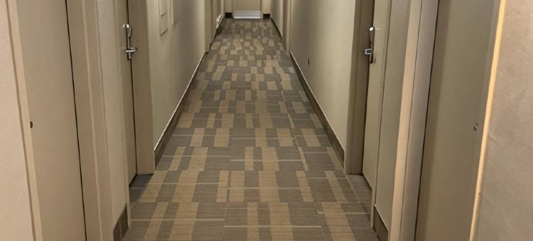 大西洋霍斯特酒店，温德姆Trademark精选(Atlantic Host Hotel, Trademark Collection by Wyndham)图片