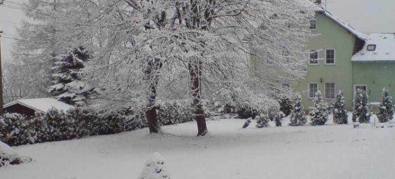 乌瓦克拉瓦旅馆(Pension U Václava)图片