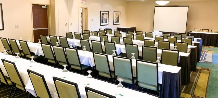Holiday Inn 圣路易斯 - 锦绣花园(Holiday Inn ST. Louis-Fairview Heights)图片