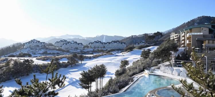 索诺菲利斯维瓦尔第村庄公园酒店(Sonofelice Village Vivaldipark)图片