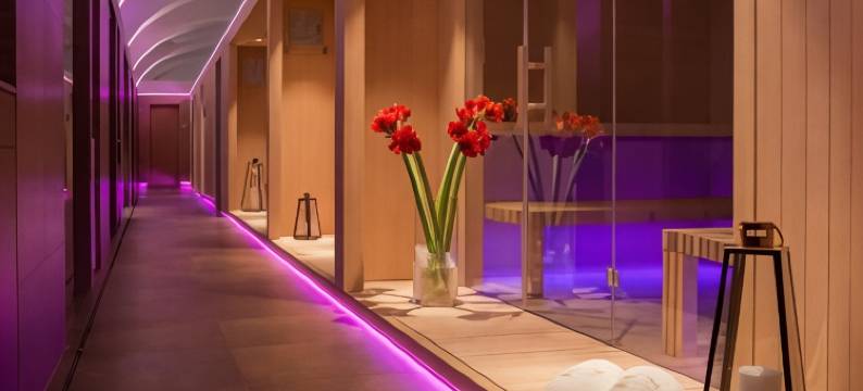 萨瓦酒店(Grand Hotel Sava Superior)图片