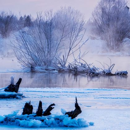 沈阳+长白山+延吉+哈尔滨7日6晚私家团