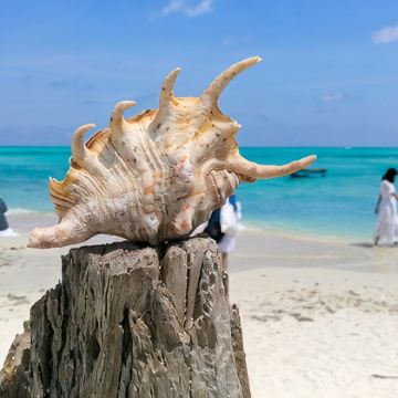 海南三亚+三沙+西沙群岛5日4晚跟团游