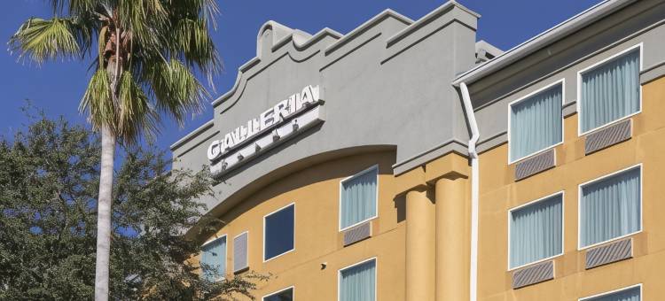 格勒里亚棕榈酒店(Galleria Palms Orlando - Free Theme Park Shuttles)图片