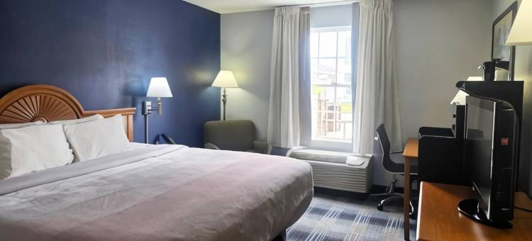 都柏林I-81凯艺酒店(Quality Inn Dublin I-81)图片