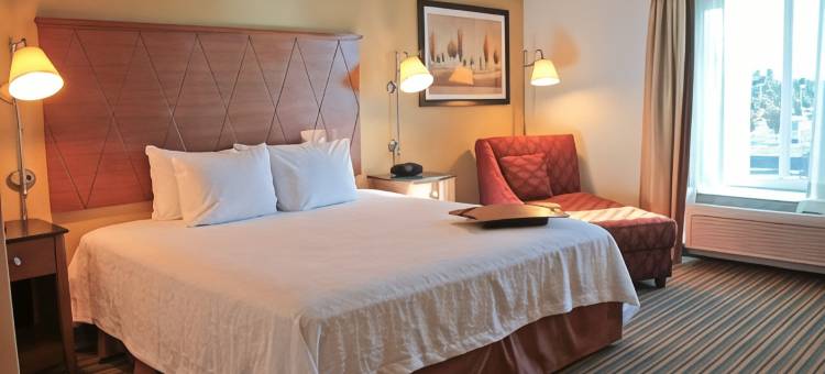 希尔顿欢朋酒店-纽波特纽斯(Hampton Inn Hampton-Newport News)图片