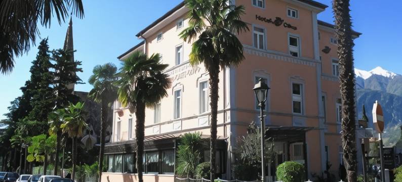 奥利沃酒店(Hotel Olivo)图片