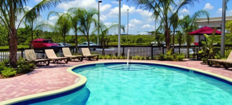 坦帕韦斯利查普尔欢朋套房酒店(Hampton Inn & Suites Tampa-Wesley Chapel)图片