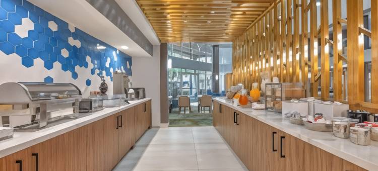 达拉斯DFW机场北拉昆塔温德姆套房酒店(La Quinta Inn & Suites by Wyndham Dallas DFW Airport North)图片