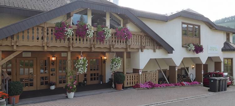 托特瑙山活酒店(Bergvital Hotel Todtnau)图片