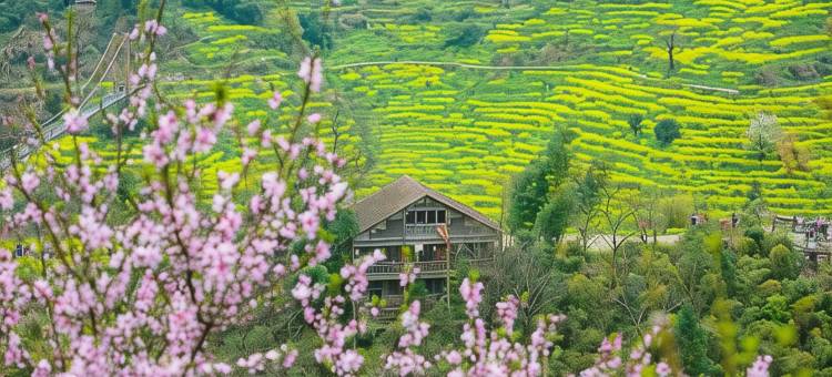 婺源·守拙居·亲子旅行秘境美宿(篁岭风景区店)图片