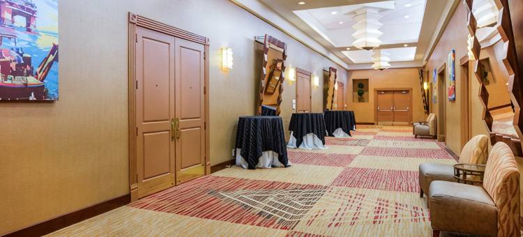 Crowne Plaza 休斯顿橡树河(Crowne Plaza HOUSTON MED CTR-GALLERIA AREA by IHG)图片