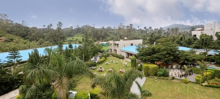 蜂鸟度假村(Hummingbird Resort)图片