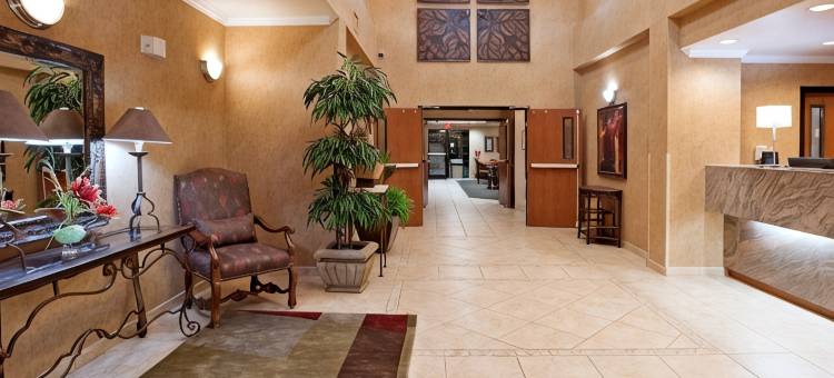 洲际酒店集团旗下奥斯汀西北莱克莱恩智选假日酒店及套房(Holiday Inn Express & Suites AUSTIN NW - LAKELINE by IHG)图片