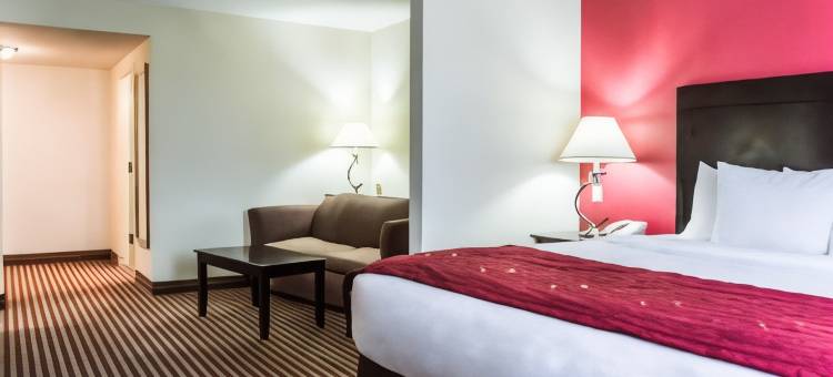 舒适套房酒店-棕榈湾墨尔本(Comfort Suites Palm Bay - Melbourne)图片