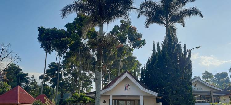 Cemara Tujuh Homestay & Resto图片