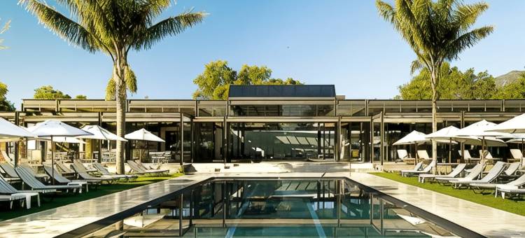 葡萄园酒店(Vineyard Hotel)图片