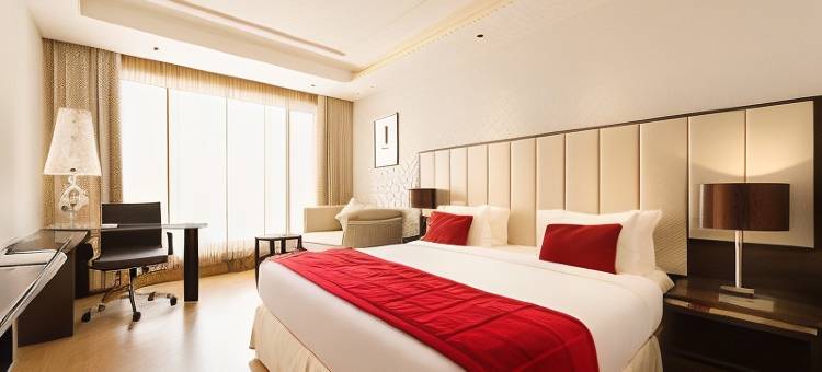 坦亚宫酒店(Hotel Tanya Palace)图片