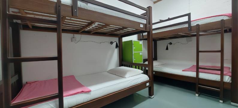 迪泽巴克派克尔斯(DZ Backpackers)图片