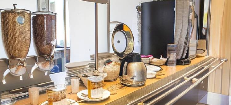 维耶尔宗设计酒店(Hotel Inn Design Vierzon)图片