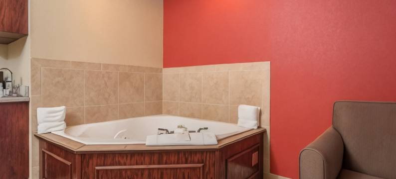 斯特吉斯呗盟温德姆套房酒店(Baymont Inn & Suites by Wyndham Sturgis)图片