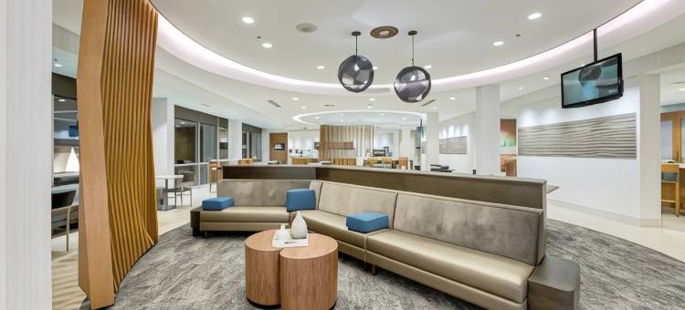 休斯顿伍德兰万豪SpringHill酒店(SpringHill Suites Houston the Woodlands)图片