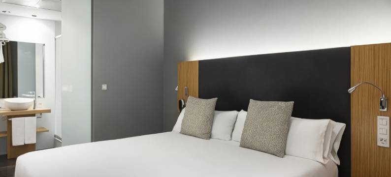 珀蒂宫特雷斯克鲁斯住宿(Petit Palace Tres Cruces)图片