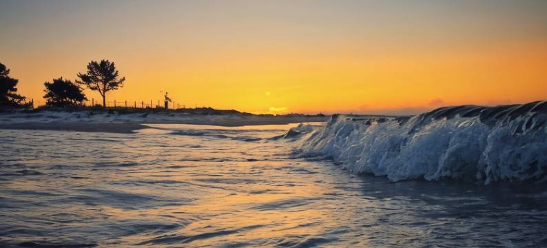 波罗的海金沙公寓式酒店(Baltic Sands)图片