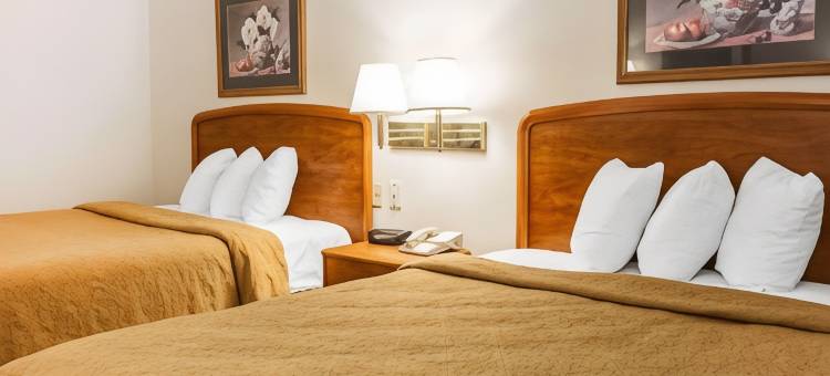 印第安纳波利斯凯艺酒店(Quality Inn South)图片