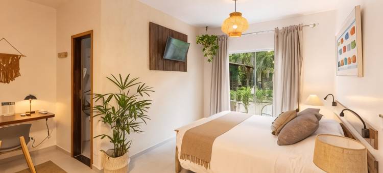 依塔玛布卡生态度假酒店(Itamambuca Eco Resort)图片
