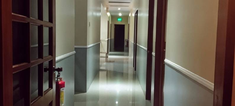 B&S兰花套房酒店(B&S Orchids Suites Hotel)图片