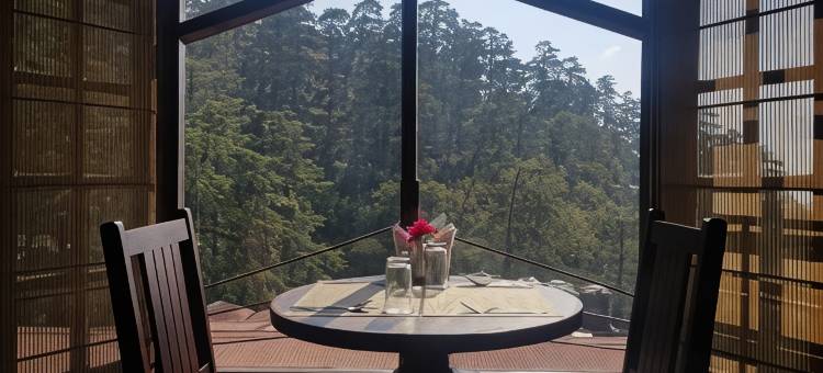 西姆拉思维林酒店(Hotel Silverine Shimla)图片