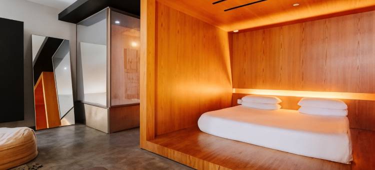 阿拉梅达高线酒店(Selina Chelsea NYC)图片