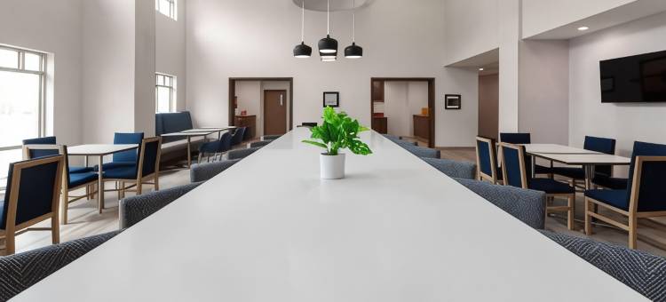 萨吉诺欢朋套房酒店(Hampton Inn & Suites Saginaw)图片