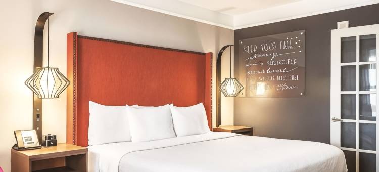 新奥尔良市中心拉昆塔温德姆套房酒店(La Quinta Inn & Suites by Wyndham New Orleans Downtown)图片