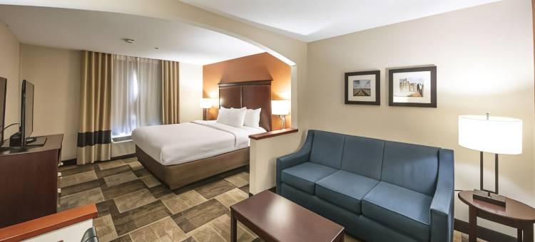 舒适酒店及套房哈钦森(Comfort Inn & Suites)图片