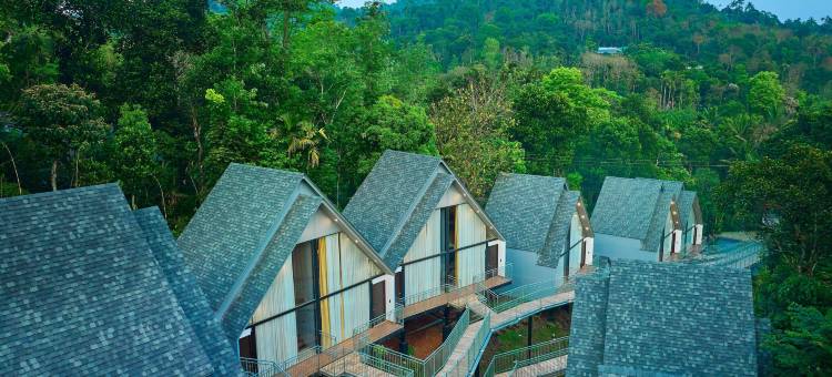 Serene Horizon图片