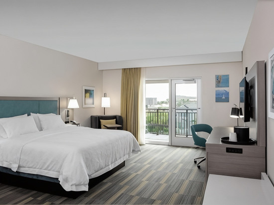 达尼丁欢朋酒店