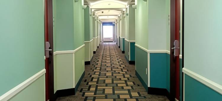 欧文-达拉斯沃斯堡北速8酒店(Super 8 by Wyndham Irving/DFW Apt/North)图片