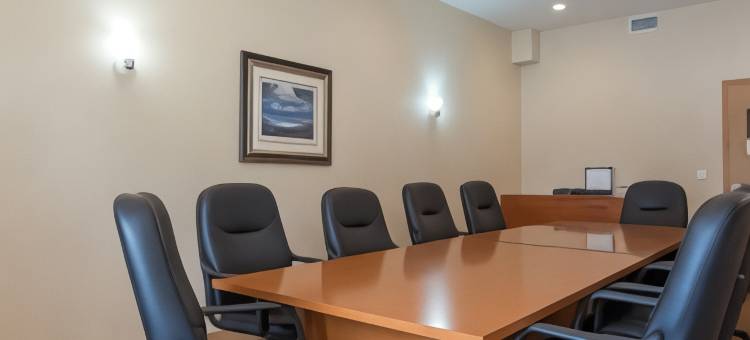 萨斯卡通福朋喜来登酒店(Four Points by Sheraton Saskatoon)图片