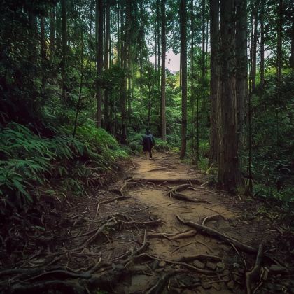 日本京都+大阪+白滨温泉+Kumano Kodo Information Center+和歌山市6日5晚私家团