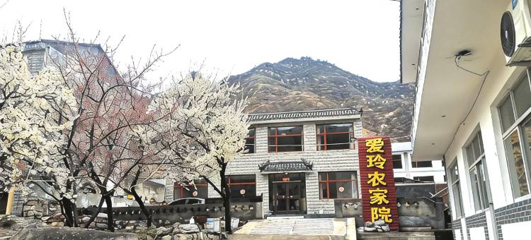 涞源爱玲农家院图片