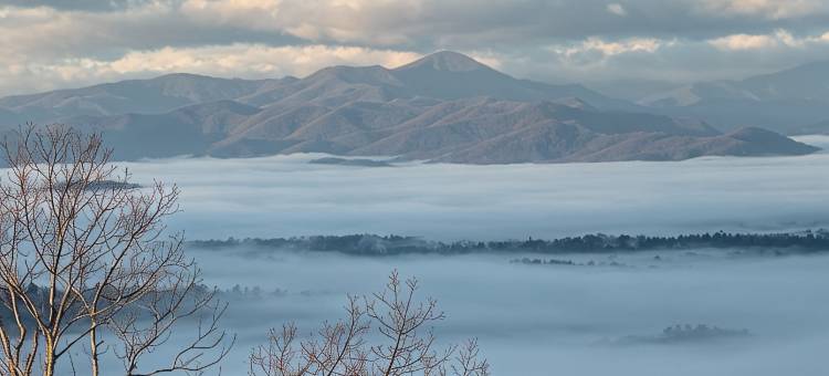 Gorgeous Mountain Views on 5 Acres图片