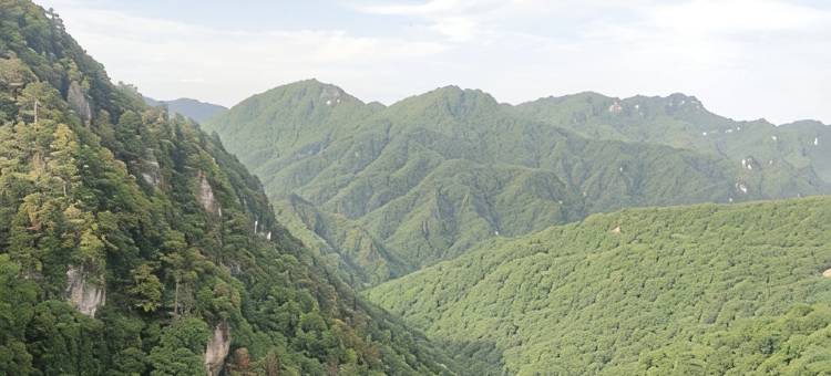 神农架山水上茶农家乐图片