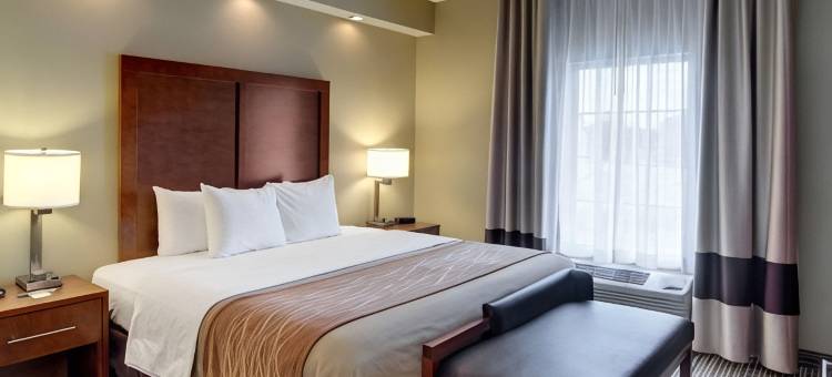 舒适酒店(Comfort Inn West Monroe Near Sports & Events Center)图片
