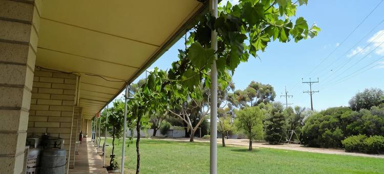 穆雷桥汽车旅馆(Murray Bridge Motor Inn)图片