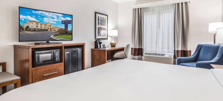 舒适套房酒店(Comfort Inn & Suites)图片