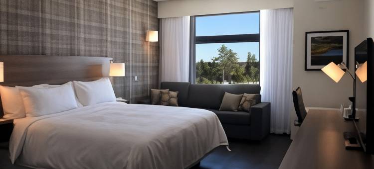 新不伦瑞克弗雷德里克顿丽笙金斯伍德酒店(Radisson Kingswood Hotel & Suites, Fredericton)图片
